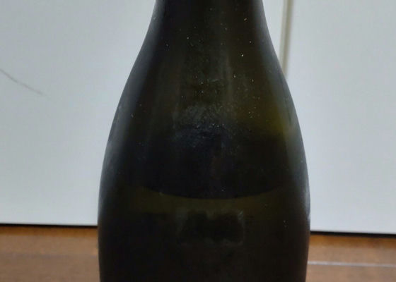alt 1