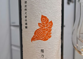 alt 3