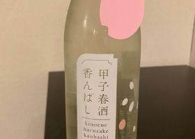 alt 1