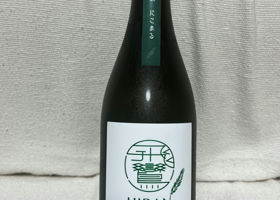 alt 3