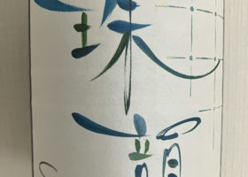alt 1