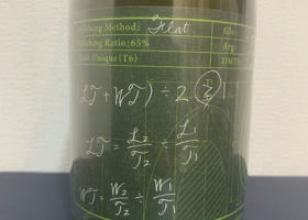 alt 1