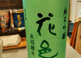 alt 1