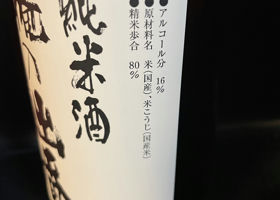 alt 3