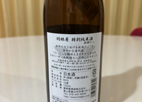 alt 2