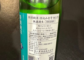 alt 3