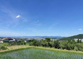 風の森 チェックイン 4