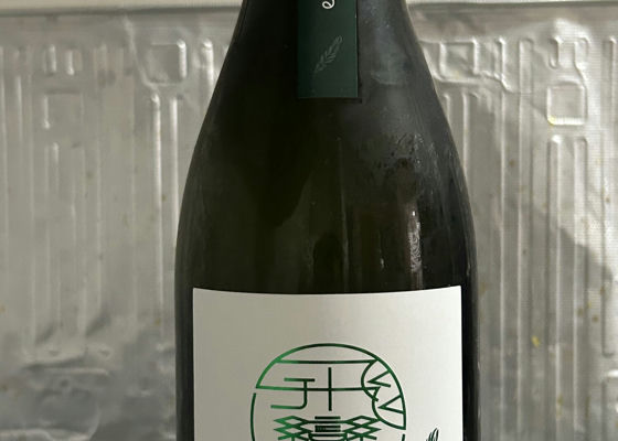 alt 1
