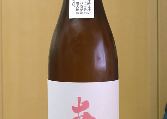 alt 1
