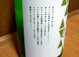 alt 3