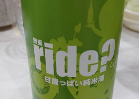 alt 3