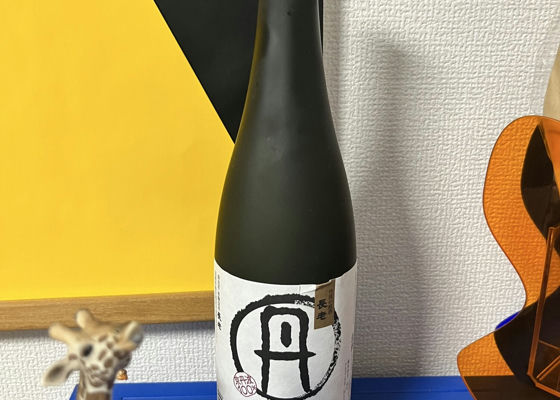 alt 1