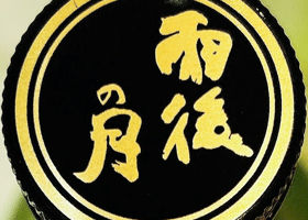alt 4