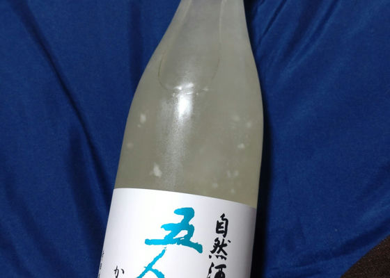 alt 1