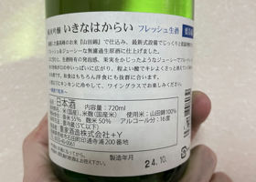alt 2