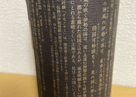 alt 3
