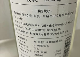 alt 3