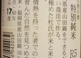 alt 3