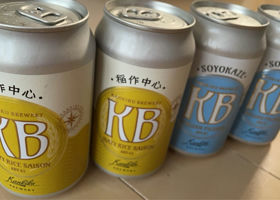 alt 3