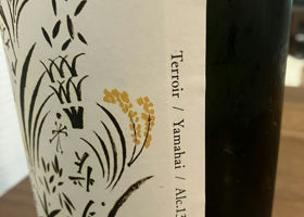 alt 2