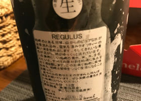 REGULUS チェックイン 2