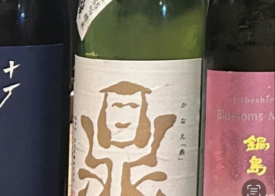 alt 1