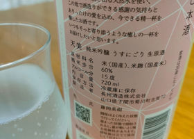 alt 3