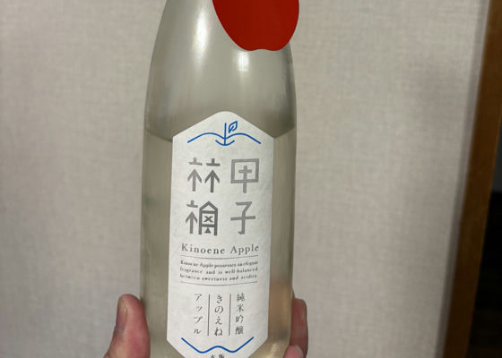 alt 1