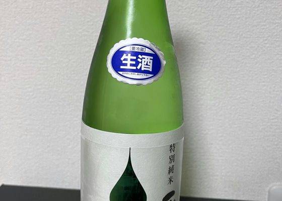 alt 1