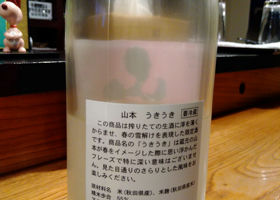 alt 2