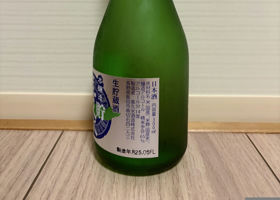 alt 3