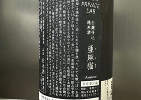 alt 3