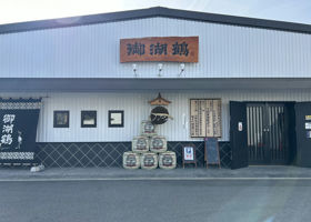 alt 3