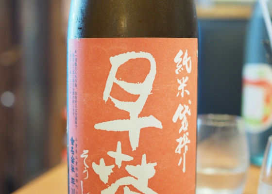 alt 1