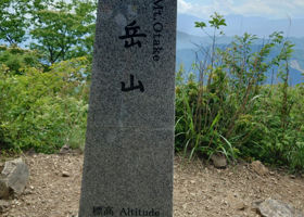 alt 3