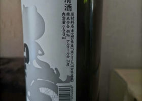 alt 3