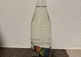 alt 1