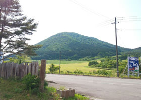 alt 3