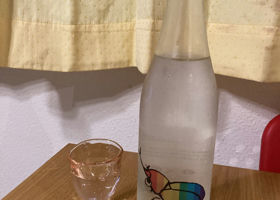 alt 1