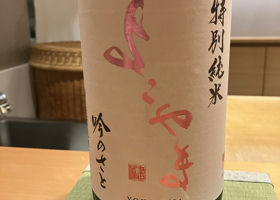 alt 1