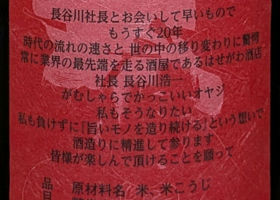 alt 3