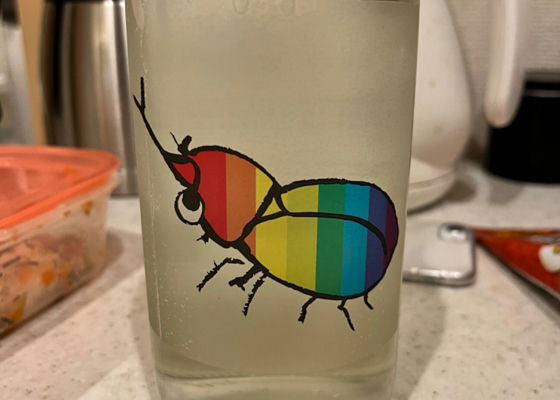alt 1