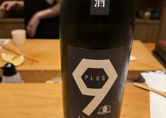 alt 1