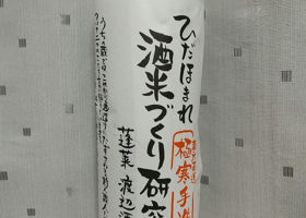alt 1