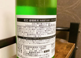 alt 2