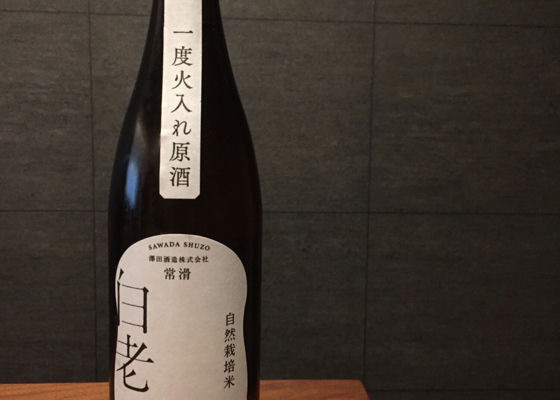 白老