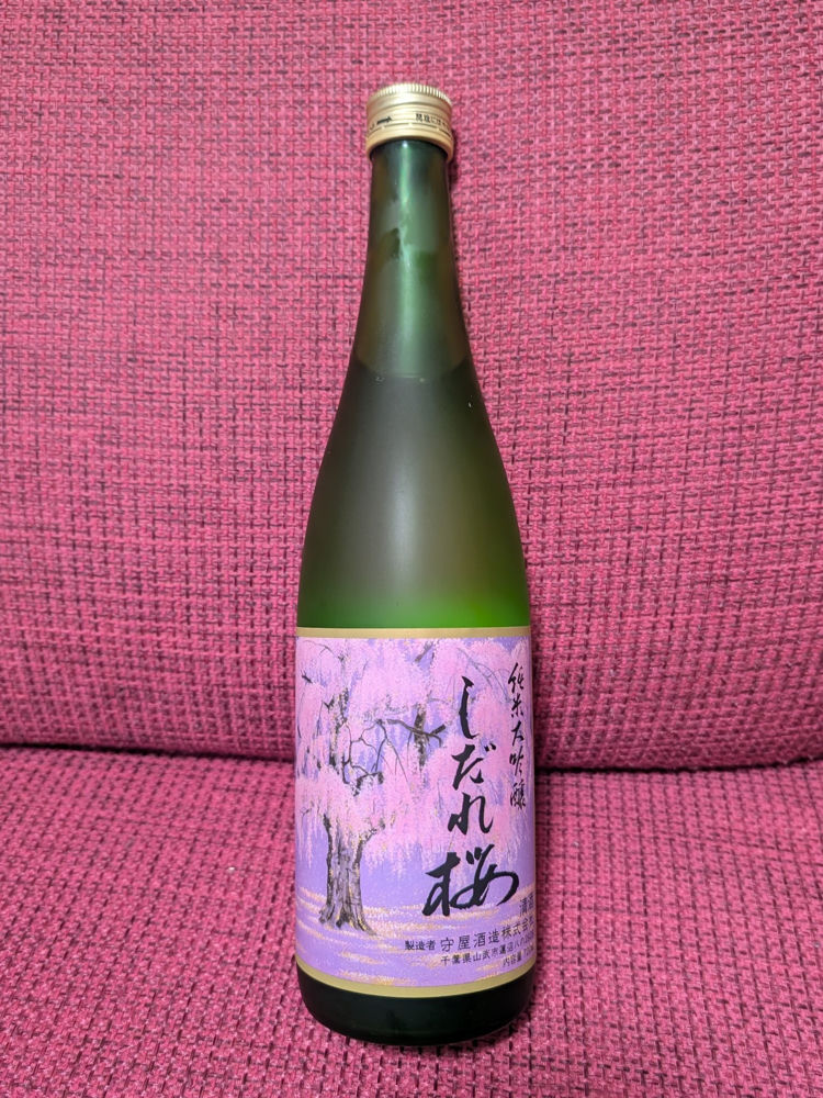 しだれ桜 チェックイン 1
