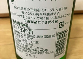 alt 3