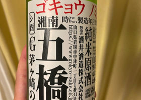 alt 1