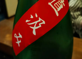 alt 3